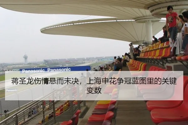 蒋圣龙伤情悬而未决，上海申花争冠蓝图里的关键变数 - leyu